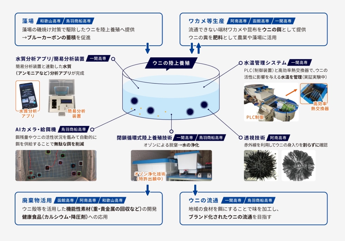 図：ウニの陸上養殖