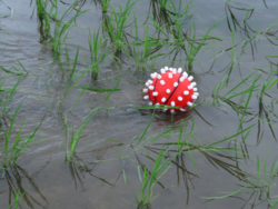 球体除草ロボット